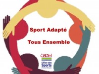 Journée d’échanges pratique Éducateurs Spécialisés-Educateurs sportifs autour du “Sport adapté”